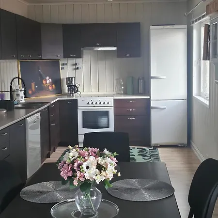 Familie Hous Hol (Buskerud)